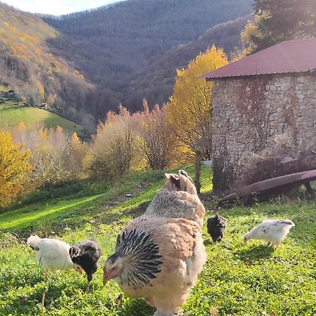 Maison Berthranet Seich Bagian luar foto
