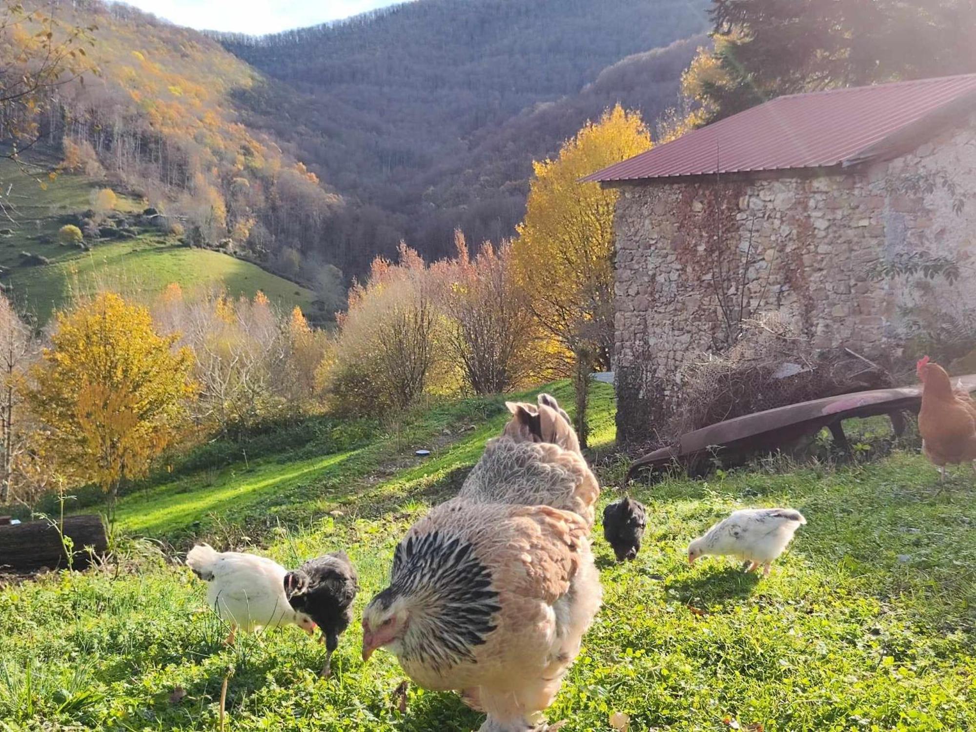 Maison Berthranet Seich Bagian luar foto