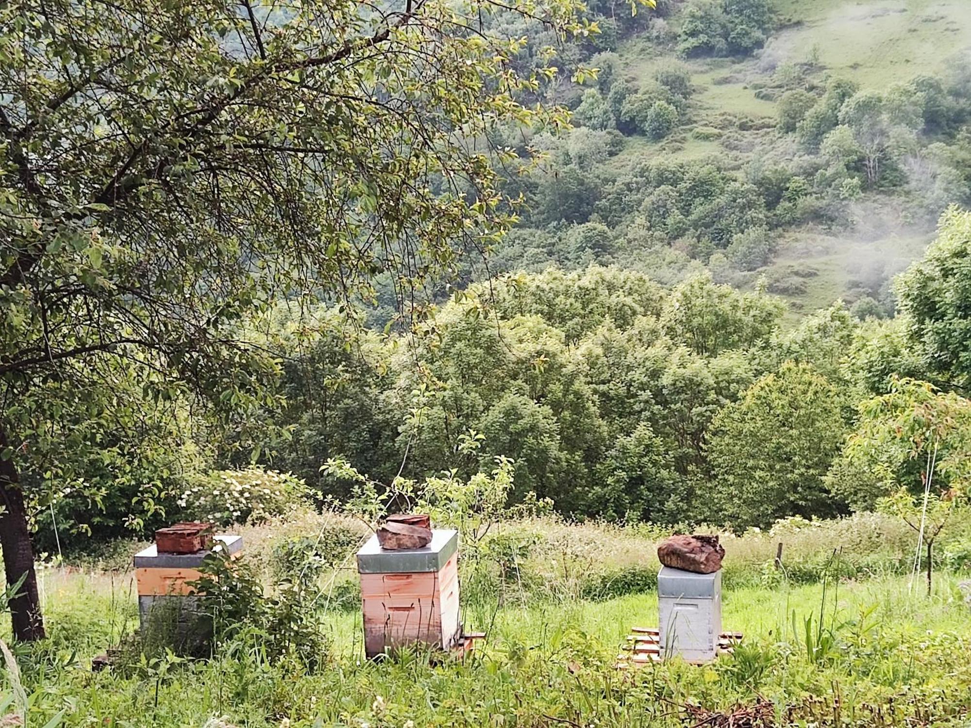 Maison Berthranet Seich Bagian luar foto